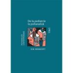 De la pediatrie la psihanaliza - D. W. Winnicott