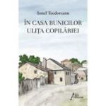 In casa bunicilor. Ulita copilariei - Ionel Teodoreanu