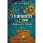A treisprezecea stea. Tribul pierdut al Israelului - Dan Udila Friedman