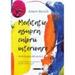 Meditatie asupra culorii interioare - Adam Borzic