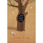 Noah Baleywater fuge de acasa - John Boyne