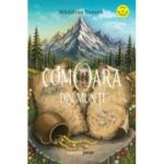 Comoara din munti - Madalina Tanasa