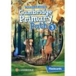 Cambridge Primary Path Level 3 Flashcards