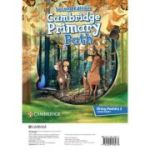 Cambridge Primary Path Level 3 and 4 Posters
