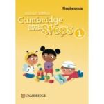 Cambridge Little Steps Level 1 Flashcards
