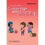 Cambridge Little Steps Level 3 Flashcards