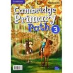 Cambridge Primary Path Level 3 Flashcards