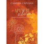 Apusuri zilnice - Camelia Capusan