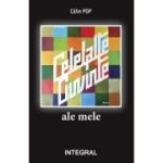 Celelalte cuvinte ale mele - Calin Pop