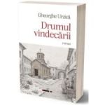 Drumul vindecarii - Gheorghe Urzica