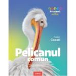 Pelicanul comun. Enciclopedie pentru copii - Tudor Cozari