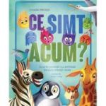 Ce simt acum? - Chiara Piroddi