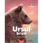 Ursul-brun. Enciclopedie pentru copii - Tudor Cozari