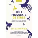 Boli provocate de stres. Sfaturi pentru persoanele care se consuma prea mult - Dr. Tim Cantopher