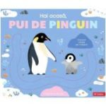 Hai acasa, pui de pinguin! - Carolina Buzio