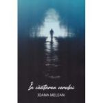 In cautarea Cerului - Ioana Melean