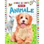Pui de animale. Atinge si simte