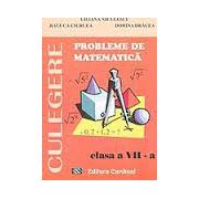 CULEGERE. Probleme de matematica, clasa VII-a - Liliana Niculescu