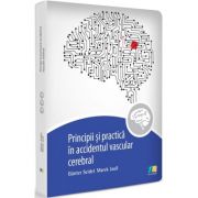 Principii si practica accidentul vascular cerebral - Gunter Seidel