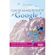 Cum sa ajungi în top pe Google - David Viney
