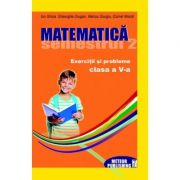 Matematica. Exercitii si probleme clasa a V-a, sem. II 2012-2013 (Gheorghe Drugan)