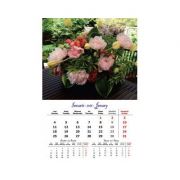 CALENDAR 2016 Flori (de perete - 31, 5 x 48 cm)