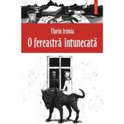 O fereastra intunecata (Florin Irimia)