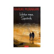 Iubita mea, Sputnik (Haruki Murakami)