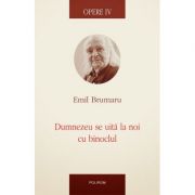 Opere IV. Dumnezeu se uita la noi cu binoclul - Emil Brumaru