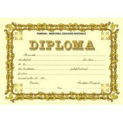 Diploma SCOLARA (DLFD006A)