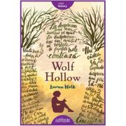 Wolf Hollow - Lauren Wolk