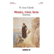 Model, chip, sens - Pr. Ioan CHIRILA