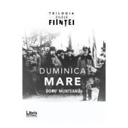 Duminica Mare - Doru Munteanu