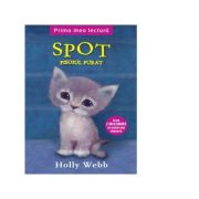 Spot, pisoiasul furat - Holly Webb