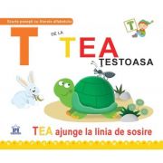 T de la Tea, testoasa. Cartonata - Greta Cencetti
