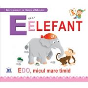 E de la Elefant. Cartonata - Greta Cencetti