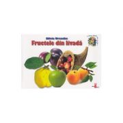 Fructele din livada - Silvia Ursache