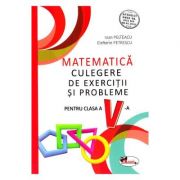 Matematica Clasa a 5-a. Culegere de exercitii si probleme - Ioan Pelteacu