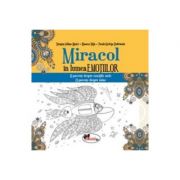 Miracol in lumea emotiilor - Dragos Iulian Matei, Bianca Nita, Paula-Steluta Dobrinoiu