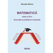 Matematica clasa a XI-a. Exercitii si probleme rezolvate