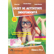 Caiet de activitate independenta, pentru clasa a 4-a - Liliana Ioan