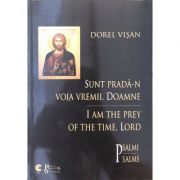 Sunt prada-n voia vremii, Doamne - Dorel Visan