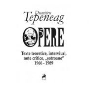 Opere 5. Texte teoretice, interviuri, note critice, &quot;sotroane&quot; 1966-1989 - Dumitru Tepeneag