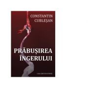 Prabusirea ingerului - Constantin Cublesan