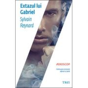 Extazul lui Gabriel. Continuarea romanului Infernul lui Gabriel - Sylvain Reynard