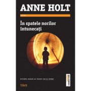 In spatele norilor intunecati - Anne Holt. Ultimul roman al seriei Vik si Stubo