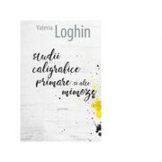 Studii caligrafice primare si alte mimoze - Valeriu Loghin