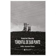 Torentul de sub punte - Gabriel Becke, Alexandru Surcel