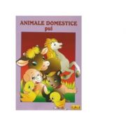 Animale domestice - Pui - Carte de colorat