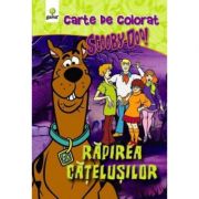Aventuri de colorat cu ScoobyDoo! - Rapirea Catelusilor